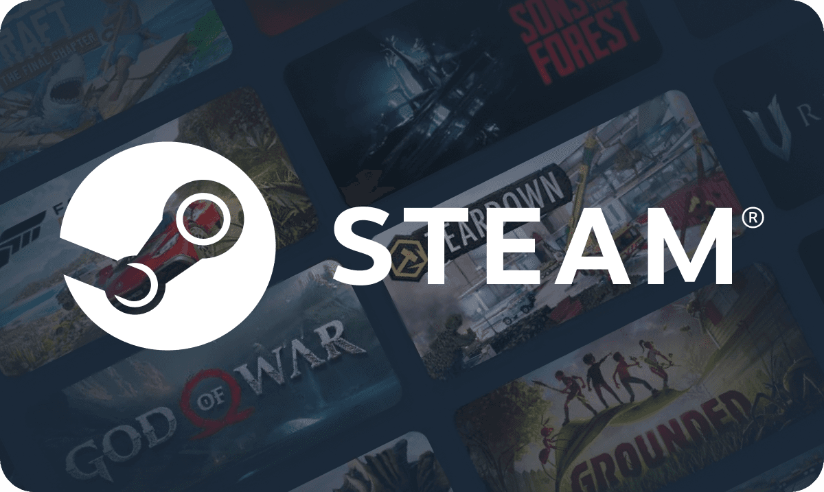 Steam FR 5
